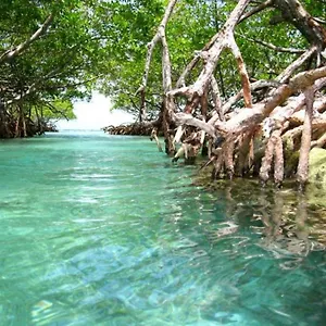https://los-pinos-house.top-hotels-puertorico.com